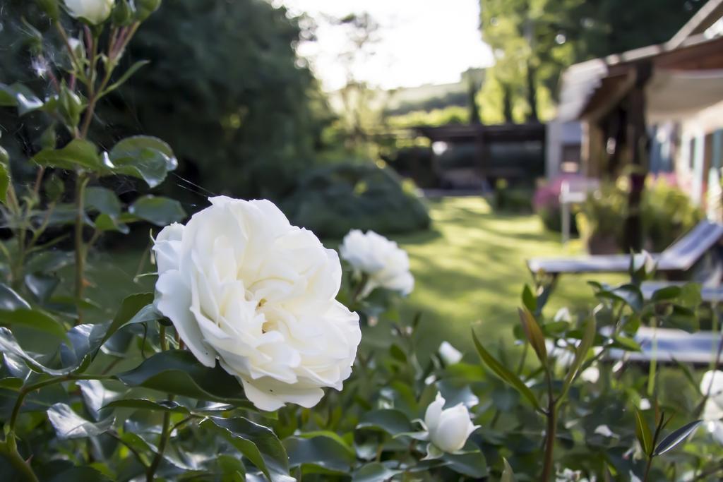 B&B I Fiori Della Cava Pesaro Dış mekan fotoğraf