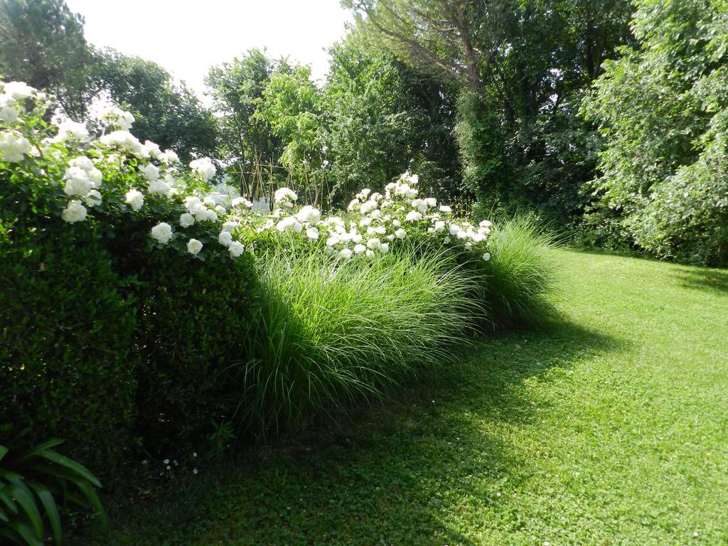 B&B I Fiori Della Cava Pesaro Dış mekan fotoğraf